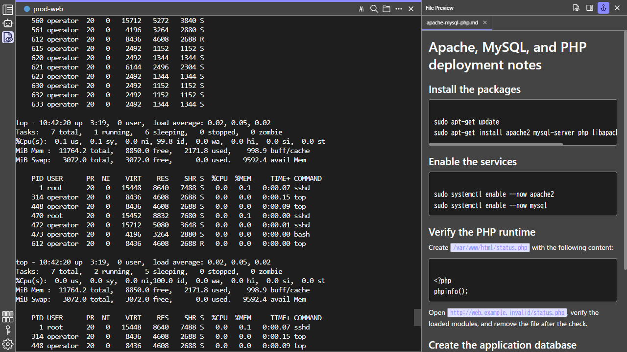 LuRa Term file preview